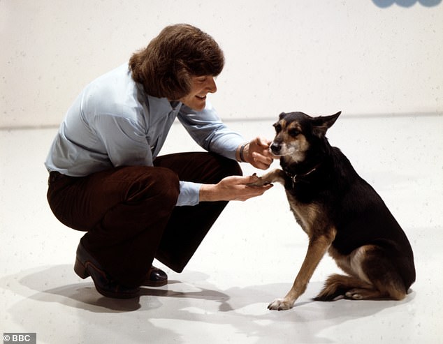 Among Blue Peter's many cherished pets, Petra the dog was among the favourites  (pictured with Peter Purves in 1970)