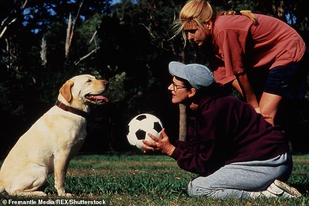 Bouncer, the beloved Labrador who starred in the Australian soap opera Neighbours from 1987 to 1993, passed away from cancer 13 weeks after filming his final scenes