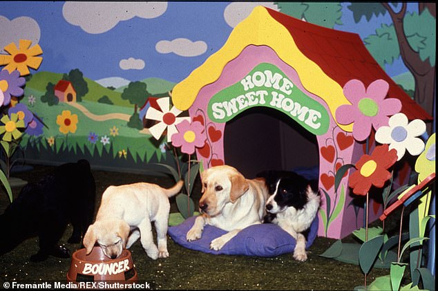 One storyline for the golden pooch remains the most memorable - a dream sequence when Bouncer fantasies about marrying sheepdog Rosie from next door