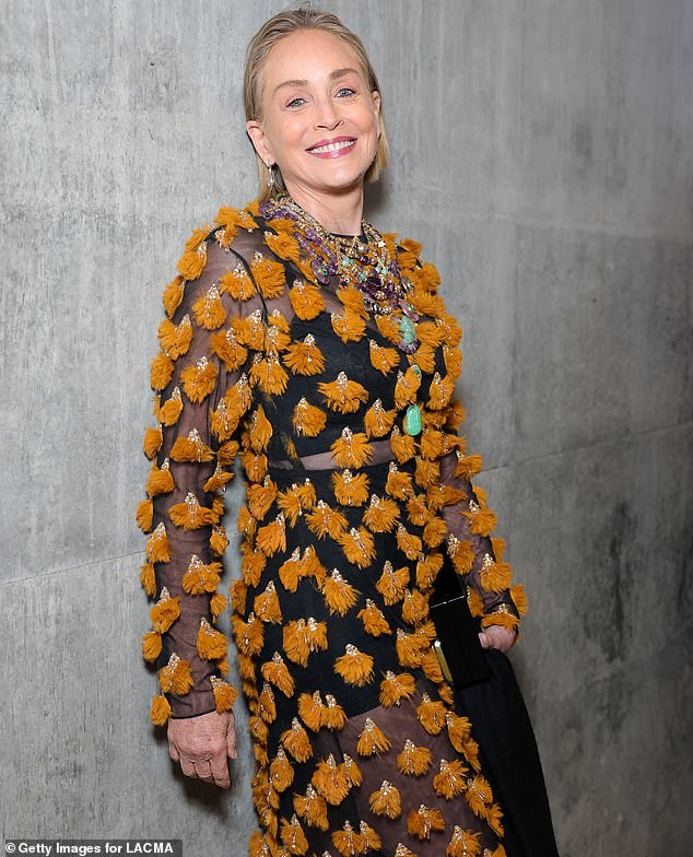 Stone, who has previously sparked plastic surgery speculation, celebrated her 68th birthday back in March; seen in April in L.A.