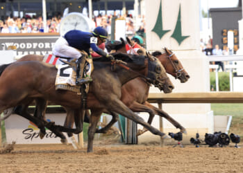 The TAC 2026 Kentucky Derby Preview