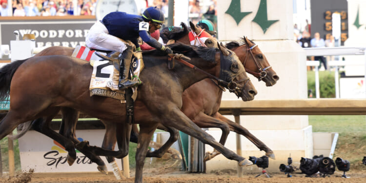 The TAC 2026 Kentucky Derby Preview