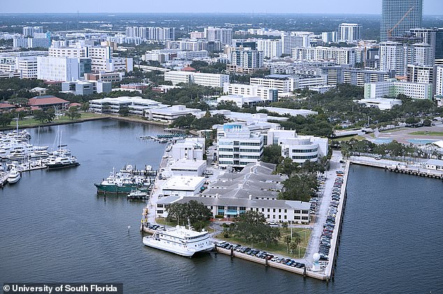 The building can be seen in the center of this photo  in a file photo of the University of South Florida's campus in St. Petersburg