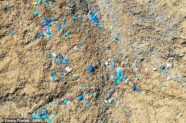 A criminal investigation is underway following the dump - the Environment Agency and Natural England have urged the public to stay away from the site