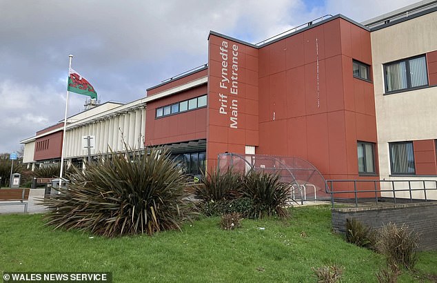 Thota - who trained as a doctor in India and moved to the UK 22 years ago -'weaponised' his role to target two female NHS workers when they were alone in Morriston Hospital, Swansea, to carry out sex attacks on them