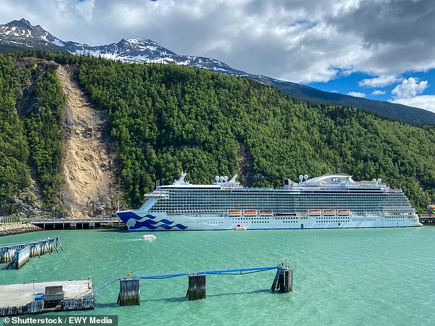The captain has cruised to countless destinations across the globe, including Alaska (pictured, with a Princess Cruises vessel) - a journey he's made over 20 times