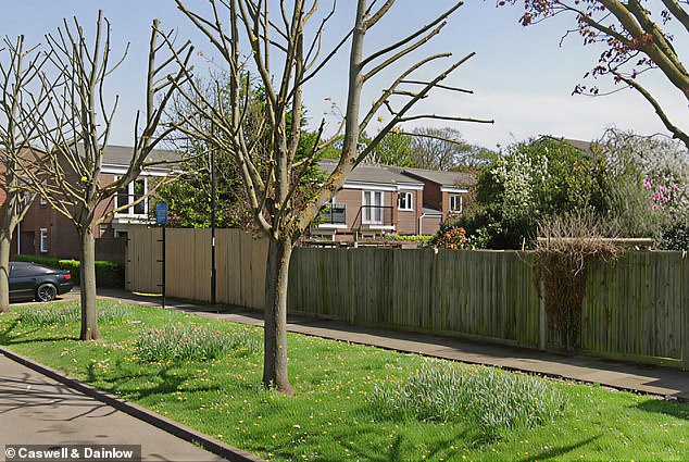 Mr Ziya's garden area and the nearby street seen before developers purchased it and built a bungalow