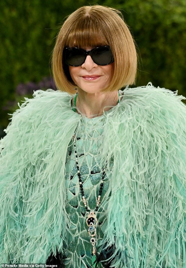 She and Wintour (above) notably did not pose for any photos together and the two Vogue stars were not seen interacting much on the red carpet