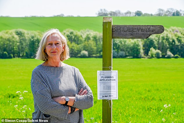 Campaigner Dee Haas (pictured), who has lived in the area for more than 30 years, blamed Labour's housing target for forcing the council's hand 'even when it feels like they don't want to'