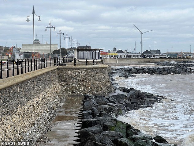 Saffron became wedged in the rocks as the tide started to come in, the inquest heard