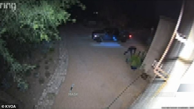The unidentified thief was seen grabbing several potted cacti from the front of the house and loading them onto his truck