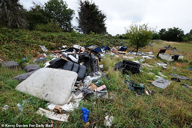 Born and bred in Croydon, Michael has watched the town decline with growing anger (Pictured: flytipping in the borough)