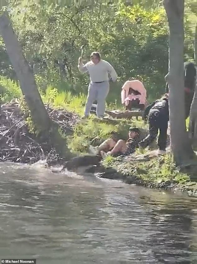 As they retreated to shore, one of them fell backwards as the beaver continued to advance and attack