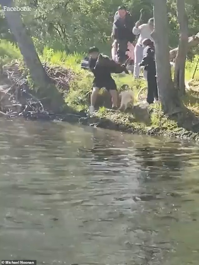 The boy who was holding the beaver down then picked it up before throwing it several feet back into the water