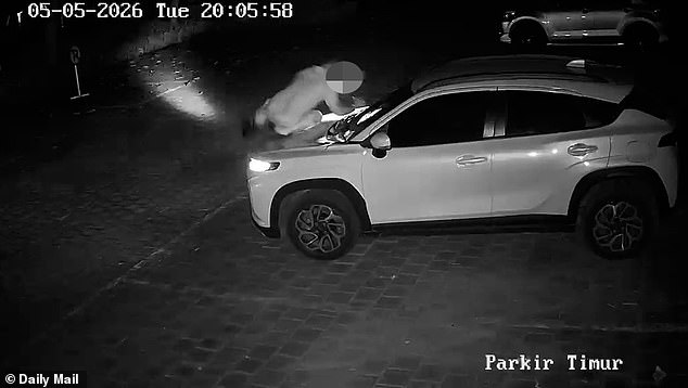 The knifeman drove off immediately but was captured three hours later and is now in police custody. Pictured: A second man jumps on the car bonnet trying to stop the suspect from leaving