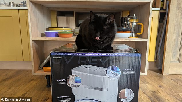 My cat seemed rather fond of the Shark PowerDetect UV reveal too...