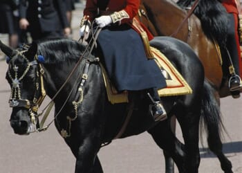 The Queen rode Burmese in Trooping the Colour for 18 years before the mare retired in 1986, the year the pair are pictured
