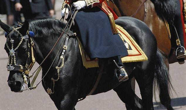 The Queen rode Burmese in Trooping the Colour for 18 years before the mare retired in 1986, the year the pair are pictured