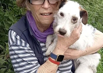 Pictured is the moment Glynis Elgey was reunited with her brave little terrier Krakka