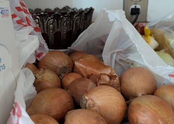 A bag of onions hides a hidden surprise of a potato. See if you can find it