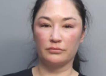 Shannon Marie Harris, 46, was arrested on April 27 after she allegedly refused to hang up a call while a Delta flight was taxiing. She is facing at least one misdemeanor charge for trespassing
