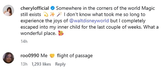 Liam's sister Ruth referenced one of the rides they went on together as she commented on Cheryl's post: 'Me [handshake emoji] flight of passage'