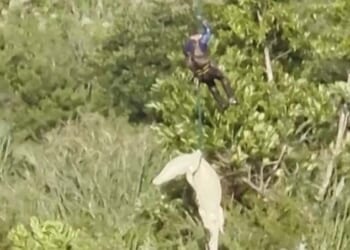 The dramatic mission unfolded over the Komati River in South Africa's northeast after authorities launched a desperate search for the missing man