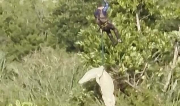 The dramatic mission unfolded over the Komati River in South Africa's northeast after authorities launched a desperate search for the missing man