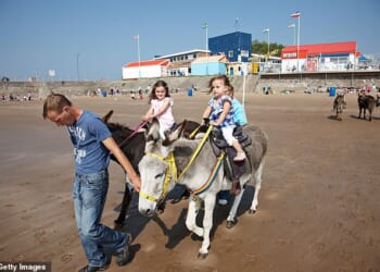 Two young girls enjoy a ride on two donkeys on Porthcrawl Beach in September 2011