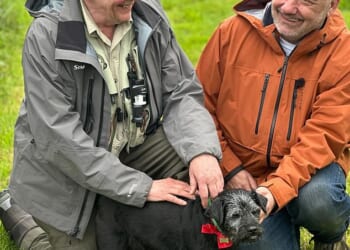 Fans have been left heartbroken following the news of Gone Fishing's terrier Ted death earlier this week