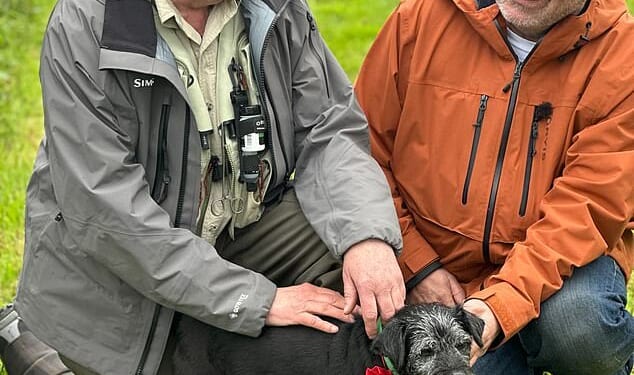 Fans have been left heartbroken following the news of Gone Fishing's terrier Ted death earlier this week