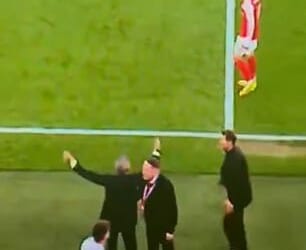 Diego Simeone shoved Arsenal sporting director Andrea Berta in the late stages of Arsenal's win over Atletico Madrid