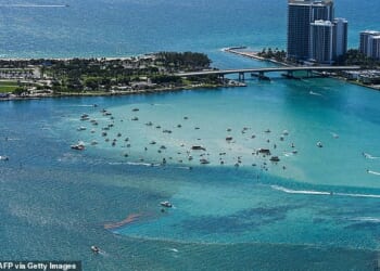 At least 15 people were taken to the hospital after a boat reportedly exploded at a Haulover Beach on Saturday (pictured: stock image)