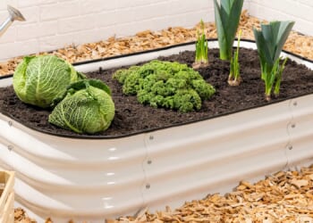 Fix messy flower beds with £30 spring garden essential fans rave ‘looks great’