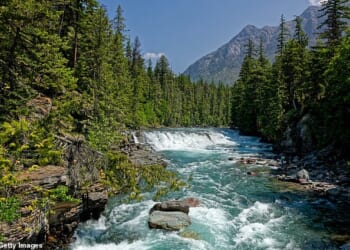 Park officials are investigating a possible bear attack after a male hiker was found dead in Glacier National Park
