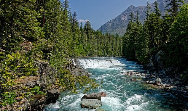 Park officials are investigating a possible bear attack after a male hiker was found dead in Glacier National Park