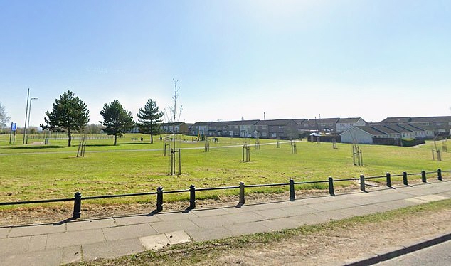 Police are hunting two men after a woman was stabbed in broad daylight in a park in County Durham on Sunday