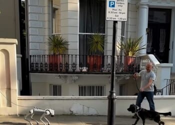 Footage shows the black-and-white dog cautiously keeping a distance from the white, motorised man's best friend during a walk