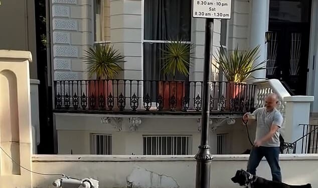 Footage shows the black-and-white dog cautiously keeping a distance from the white, motorised man's best friend during a walk