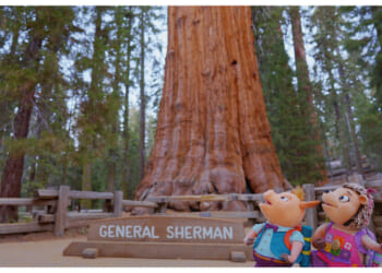 In the show ‘Wowsabout,’ Muppets meet the national parks
