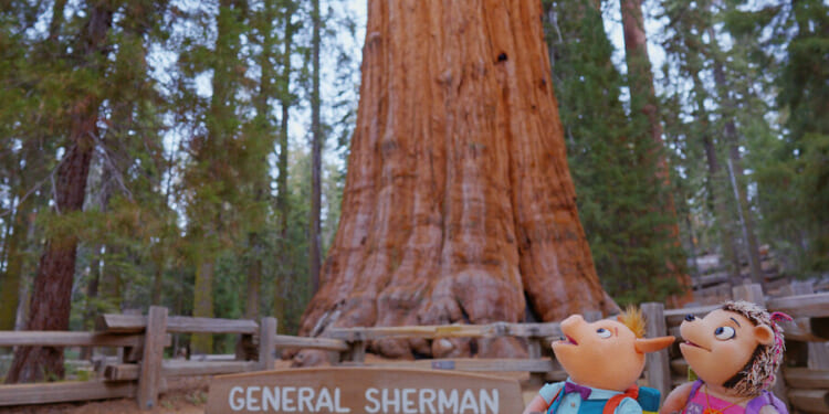 In the show ‘Wowsabout,’ Muppets meet the national parks