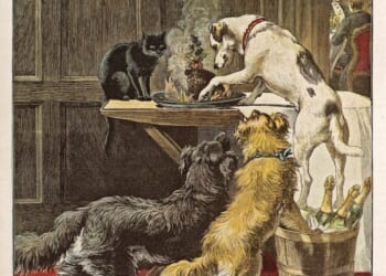 It’s high time we banned dogs | Titania McGrath