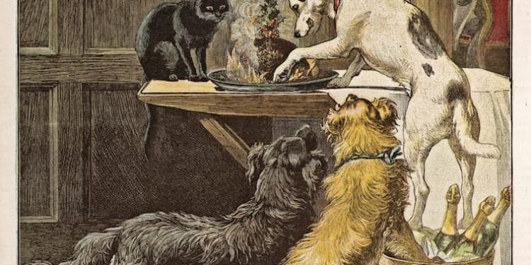 It’s high time we banned dogs | Titania McGrath