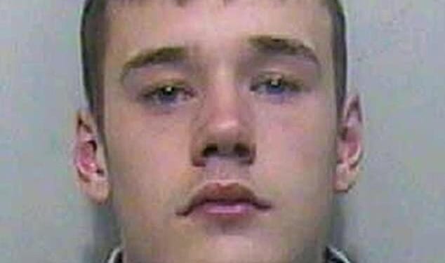 Brendan Harris (pictured), was found guilty of Sophie's murder in 2008 and jailed for life with a minimum term of 18 years