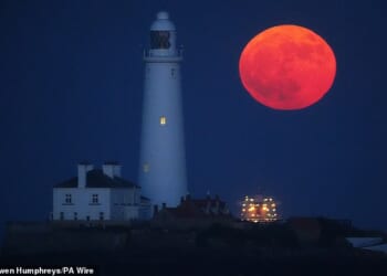 Stargazers enjoying the warm weather this evening will be in for a treat as the full Flower Moon blooms in the night sky. Pictured: A Flower Moon rises over Whitley Bay, England, in May 2025