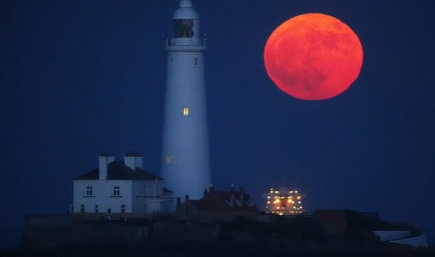 Stargazers enjoying the warm weather this evening will be in for a treat as the full Flower Moon blooms in the night sky. Pictured: A Flower Moon rises over Whitley Bay, England, in May 2025
