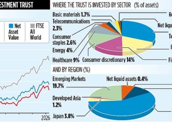 MONKS INVESTMENT TRUST seeks out specialists from care homes to wargames