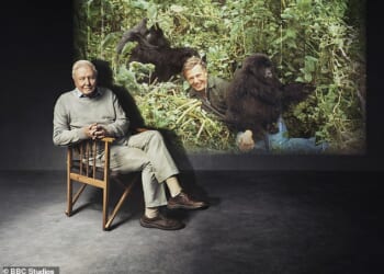Sir David Attenborough marked his 100th birthday on Friday (pictured in Making Life on Earth: Attenborough's Greatest Adventure)