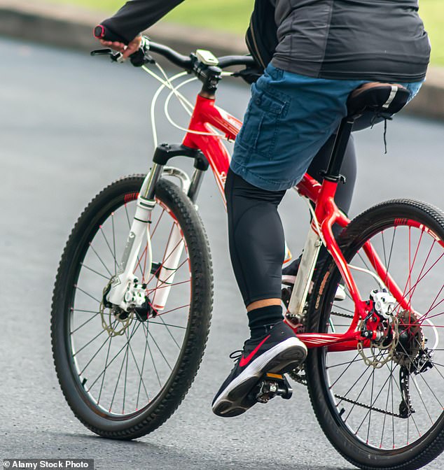 Under the generous programme, some unemployed people are being given bikes and others are even being put up in Airbnbs at the public’s expense (file image)