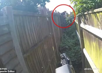 Moment drug boss who flooded seaside town with £1.3million of cocaine flees through gardens to escape armed police
